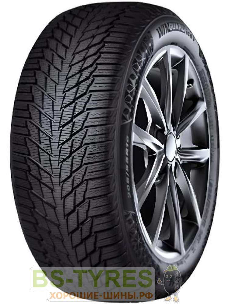 Winguard Ice 3