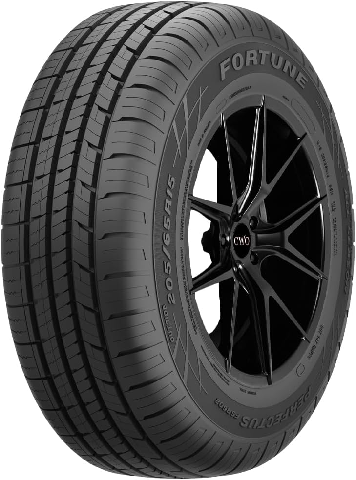 Fortuna-FSR602-Perfectus-1