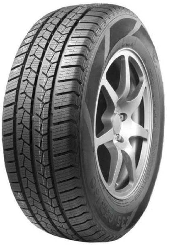 Leao-Winter-Defender-Van-1