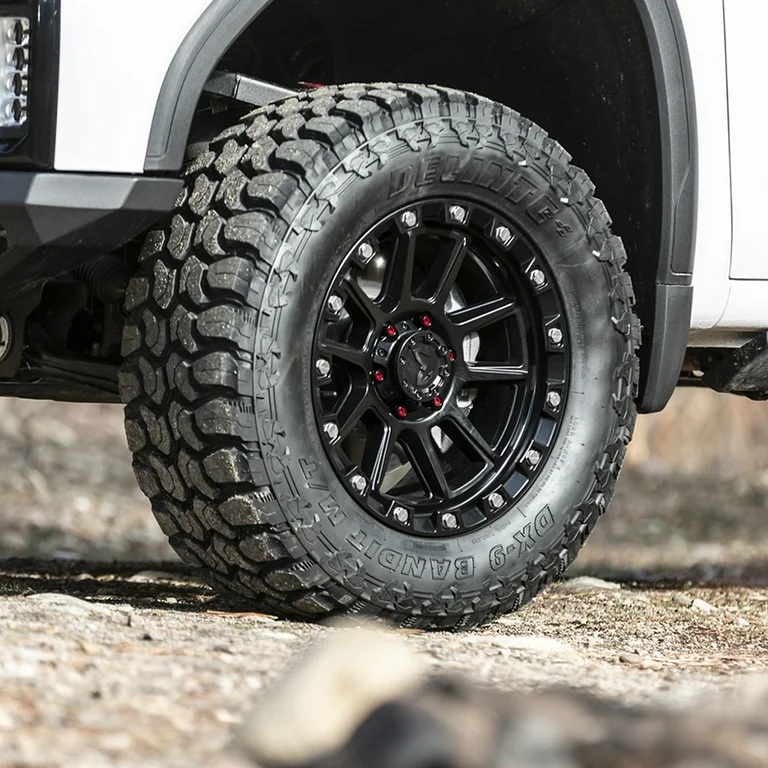 delinte-dx9-bandit-m-t-3