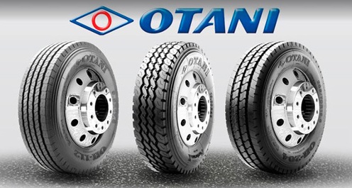 otani-model