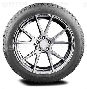 Antares Grip 60 Ice 255/55 R19 111H