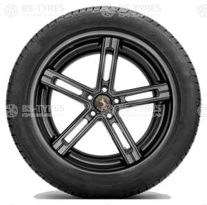 Continental ContiWinterContact TS830P 255/40 R20 101V