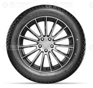 Doublestar DW01 225/60 R17 99T