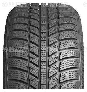 Evergreen Winter EW62 185/60 R14 82T