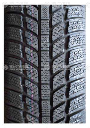 Evergreen Winter EW62 185/60 R14 82T
