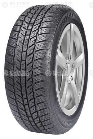 Evergreen Winter EW62 185/60 R14 82T