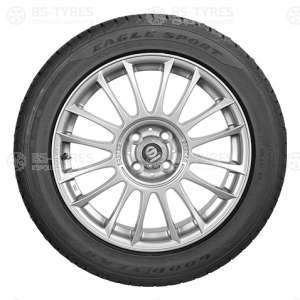Eagle Sport
