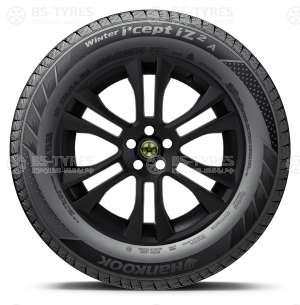 Winter i*сept iZ 2 W616