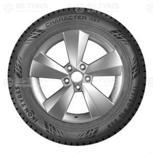 Ikon (Nokian Tyres) Character Ice 7 (Nordman 7) SUV 215/60 R17 100T