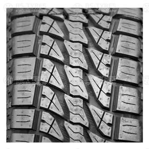 Lion Sport A/T100