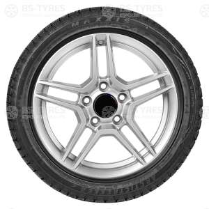 Maxxis SP-02 Arctic Trekker 255/40 R19 100S