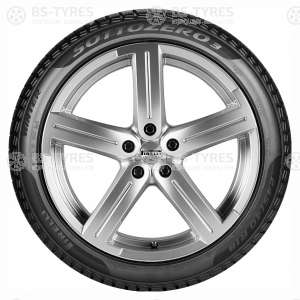 Pirelli Winter SottoZero 3 315/30 R21 105V (2018)