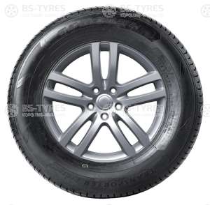 Tracmax RF09 195/65 R16C 104/102T