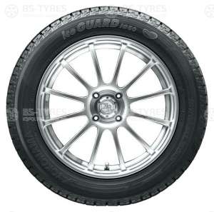 Ice Guard IG50