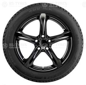 Tigar Ice SUV 225/65 R17 106T