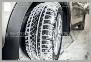 Champiro Winterpro HP