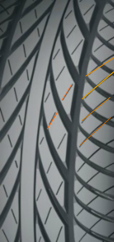 Лентовидное центральное ребро